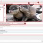 sigplus-filler-gui-ru.jpg